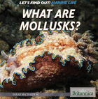 What Are Mollusks?, ed. , v. 