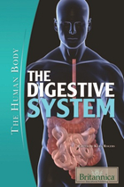 The Digestive System, ed. , v. 