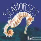 Sea Horses, ed. , v. 