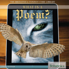 What Is a Poem?, ed. , v. 