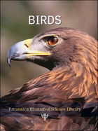 Birds, ed. , v. 