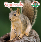 Squirrels, ed. , v. 