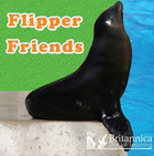Flipper Friends, ed. , v. 