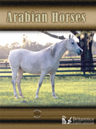 Arabian Horses, ed. , v. 