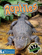 Reptiles, ed. , v. 
