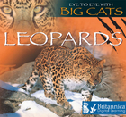 Leopards, ed. , v. 