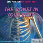 The Bones in Your Body, ed. , v. 