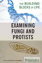 Examining Fungi and Protists, ed. , v. 