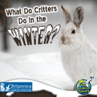 What Do Critters Do in the Winter?, ed. , v. 