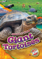 Giant Tortoises, ed. , v. 