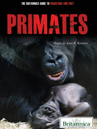 Primates, ed. , v. 