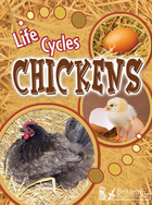 Chickens, ed. , v. 