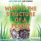 What Is the Structure of a Plant?, ed. , v. 