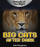 Big Cats After Dark, ed. , v. 