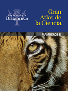 Mamíferos II, ed. , v. 