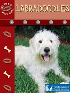 Labradoodles, ed. , v. 