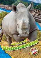 Rhinoceroses, ed. , v. 