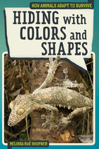 Hiding with Colors and Shapes, ed. , v. 