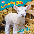 Lamb, Rev, ed. , v. 