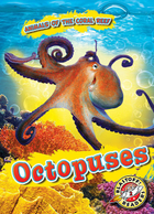 Octopuses, ed. , v. 