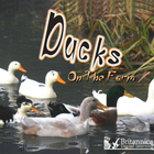 Ducks on the Farm, ed. , v. 