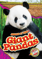 Giant Pandas, ed. , v. 