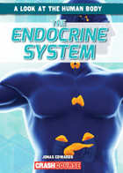The Endocrine System, ed. , v. 