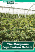 The Marijuana Legalization Debate, ed. , v. 