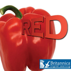 Red, ed. , v. 