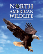 North American Wildlife, ed. , v. 