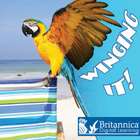 Winging It!, ed. , v. 