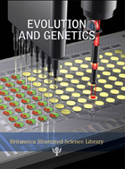 Evolution and Genetics, ed. , v. 