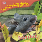 Mouse, ed. , v. 