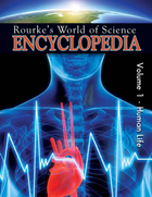 Rourke's World of Science Encyclopedia, ed. 2, v. 1
