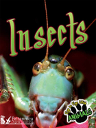 Insects, ed. , v. 