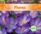 Flores, ed. , v. 