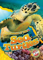 Sea Turtles, ed. , v. 