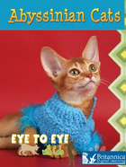 Abyssinian Cats, ed. , v. 