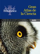 Aves, ed. , v. 
