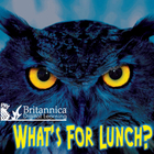 What's For Lunch?, ed. , v. 