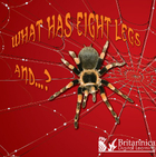 What Has Eight Legs and…?, ed. , v. 