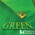 Green, ed. , v. 