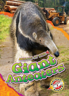 Giant Anteaters, ed. , v. 