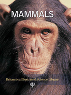 Mammals, ed. , v. 