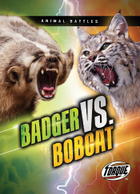Badger vs. Bobcat, ed. , v. 