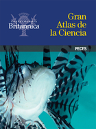 Peces, ed. , v. 