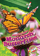 Monarch Butterflies, ed. , v. 