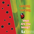 Ladybug, Ladybug, What Are You Doing?, ed. , v. 