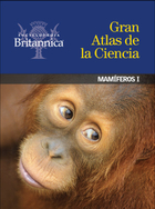 Mamíferos I, ed. , v. 
