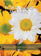 Plants, Algae, and Fungi, ed. , v. 
